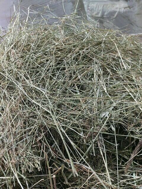 Сено в тюках (Посевное) до 20 шт