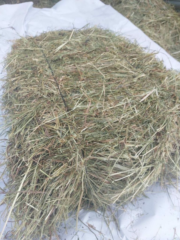 Сено в тюках (Посевное) до 20 шт