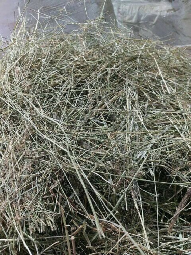 Сено в тюках (Посевное) до 20 шт