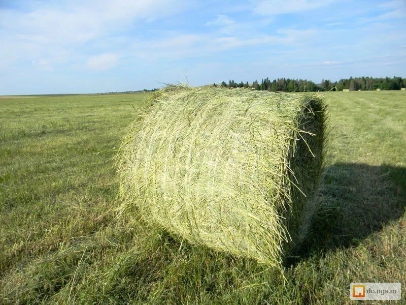 Сено в рулонах с доставкой